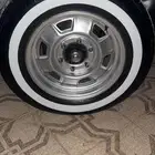 جنوط دايو ددسن اصليات