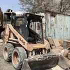بوبكات ببكات للبيع