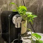 مكينة كبسولات