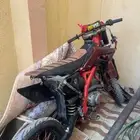 دباب صحراوي