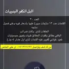 ابل العدد 30 للبيع