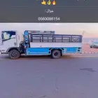 دنا للمشاوير ابل غنم او اي شي