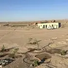 مزرعة شمال بريدة بكبد 80 كيلو صكين والمطلوب 250 الف