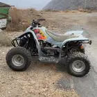 دباب سويدي للبيع