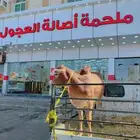 ملحمة اصالة العجول تبوك