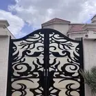 بوابه لوكسان حديد بلازما