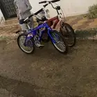 سيكل رامبو اصلي