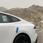 Uni-v جنوط وكالة نظيفة للبيع بكفراتها