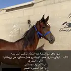 مهر واهو مستقبل قوي
