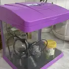 حوض سمك استخدام شهر