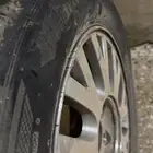جنوط فورد فكتوريا