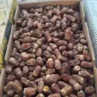 تمر صقعي درجه ثانيه حبه طيبه