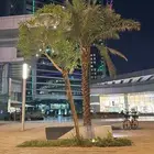 مشاركه سكن
