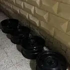 جنوط فورد بوليسي