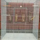 مطير زيبرا بكامل ملحقاته واستخدام بسيط ونضيف ( تم البيع )