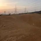 نشاره اخشاب
