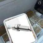بوجي عصفور صغير