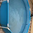 مسبح