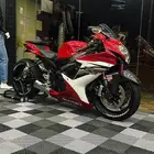 ريس 2014