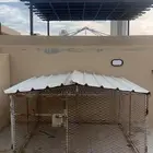 شبك