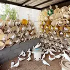 حمام فرنسي