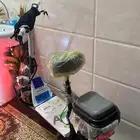 سكوتر للبيع لا يجي إلا الصامل الحد 800