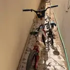 سياكل كوبرا للبيع ع السوم