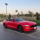 موستنج 2019