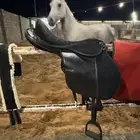 سرج نظيف للبيع 500
