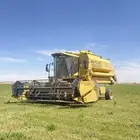 للايجار حصادة بذور رودس