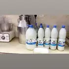 متوفر لبن غنم ماعز