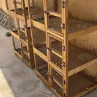 محاكر للحمام والطيور و الدجاج