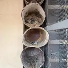 حمام سلفر طبيبات بالحيل