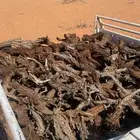 للبيع حوض غماره