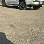 زد اكس موديل 2024