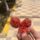 حماط كفو كفو موية بير