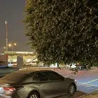 كامري 22