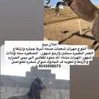 مهرات عربيات شعبيات للبيع التفاصيل كما هو موضح ف الصوره