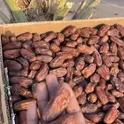 تمر مبروم صفري