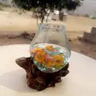 تحفة مزهريه زجاج