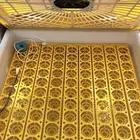 فقاسة 98 بيضة