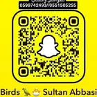 فرخ كاسكو انتاج محلي تم البيع