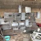 بطاريات ارانب