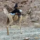 قعود طابع شرط