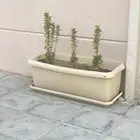 احواض زراعه للبيع