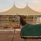 الطايف
