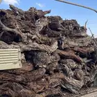 دفاية الشتاء شاص بدون توانك