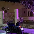 هارلي ستريت رود 2018