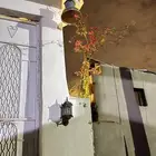 ايواء خيل