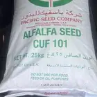 بذار برسيم باسفيك كاف101